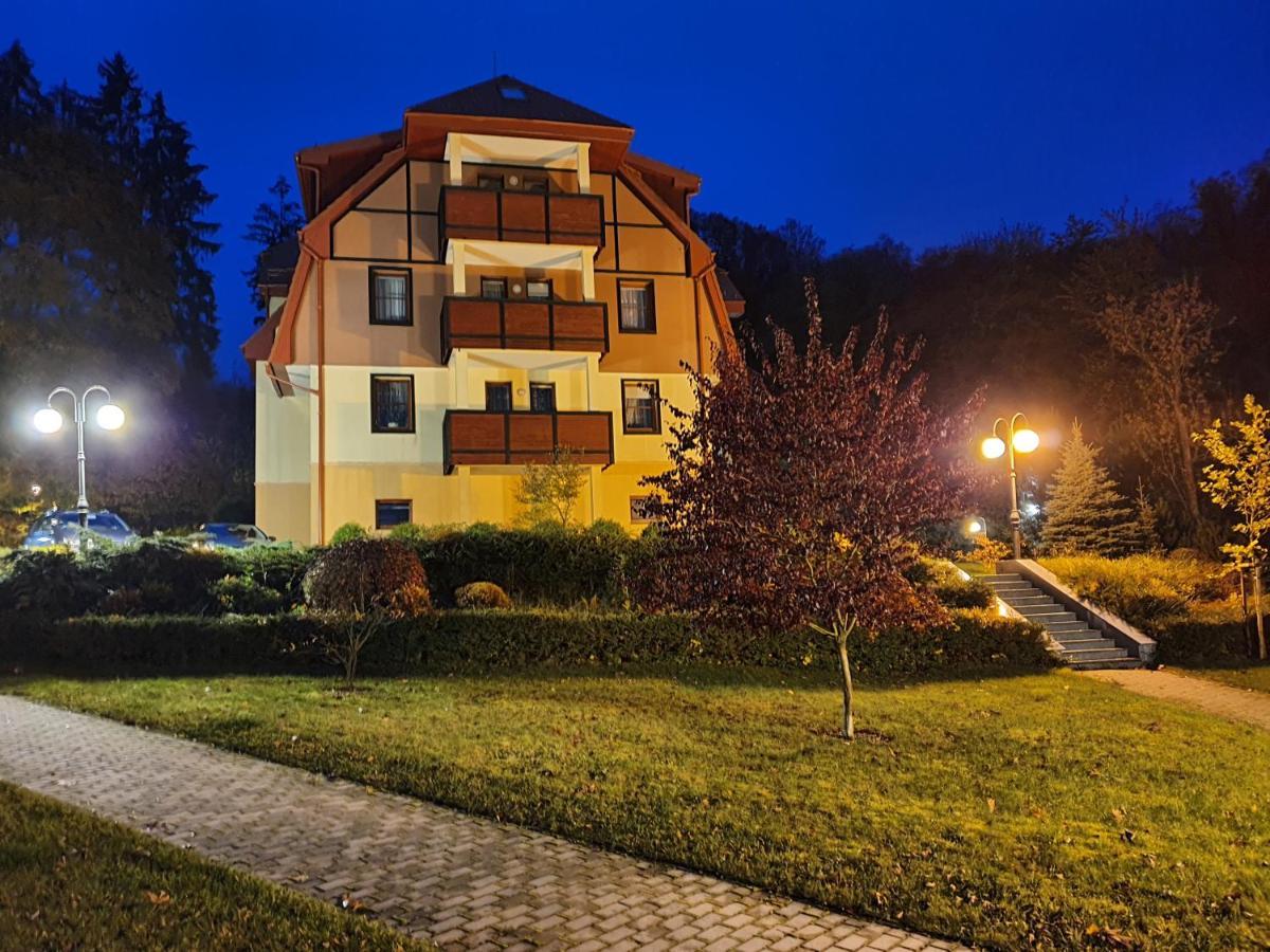 Ferienwohnung Apartament Klaudia Bad Altheide Exterior foto